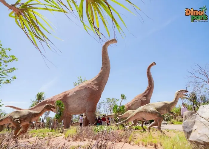 Wonderland Khu cắm trại Phan Thiết